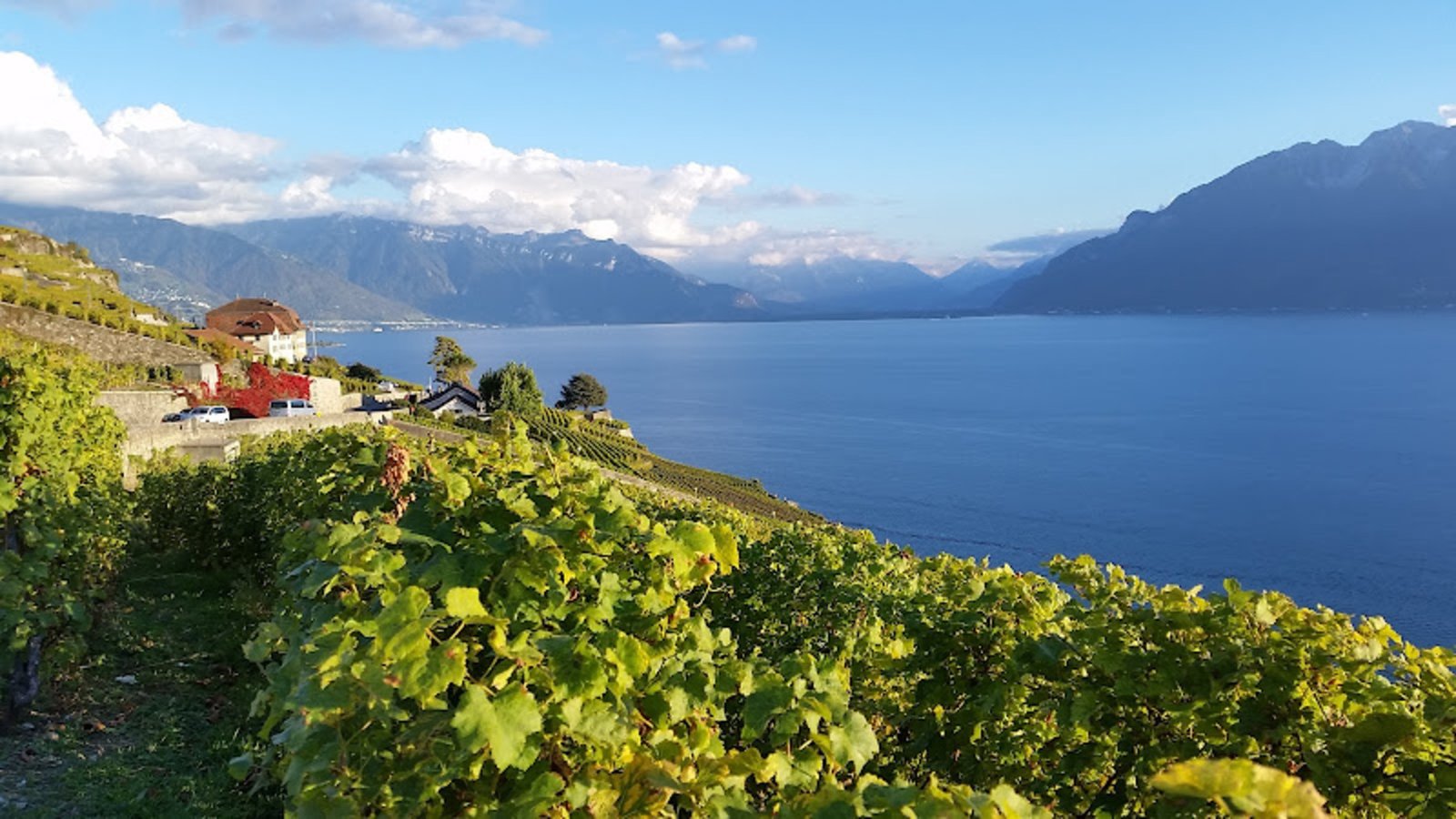 Wine Tasting Tour