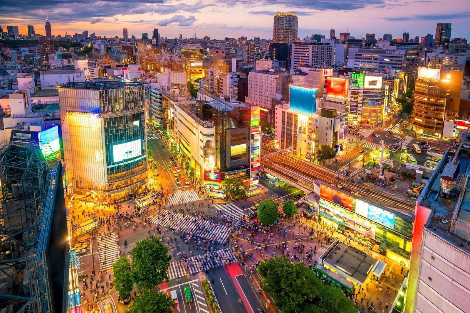Mount Fuji and Tokyo tour